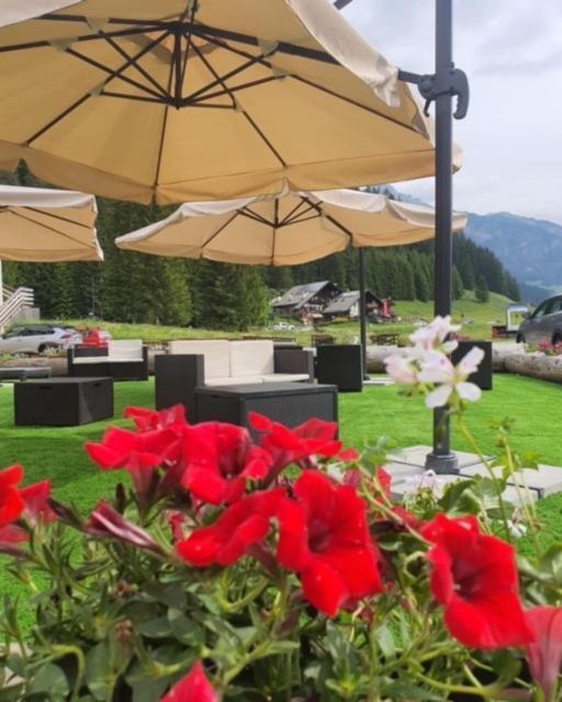 Soggiorno Dolomiti มาซซิน ภายนอก รูปภาพ
