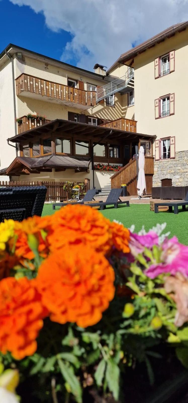 Soggiorno Dolomiti มาซซิน ภายนอก รูปภาพ